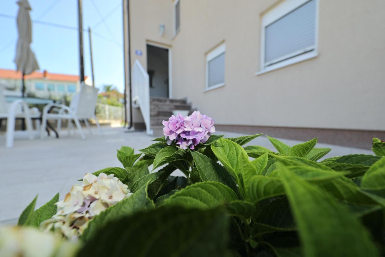 זאדאר Apartments Anastazia מראה חיצוני תמונה